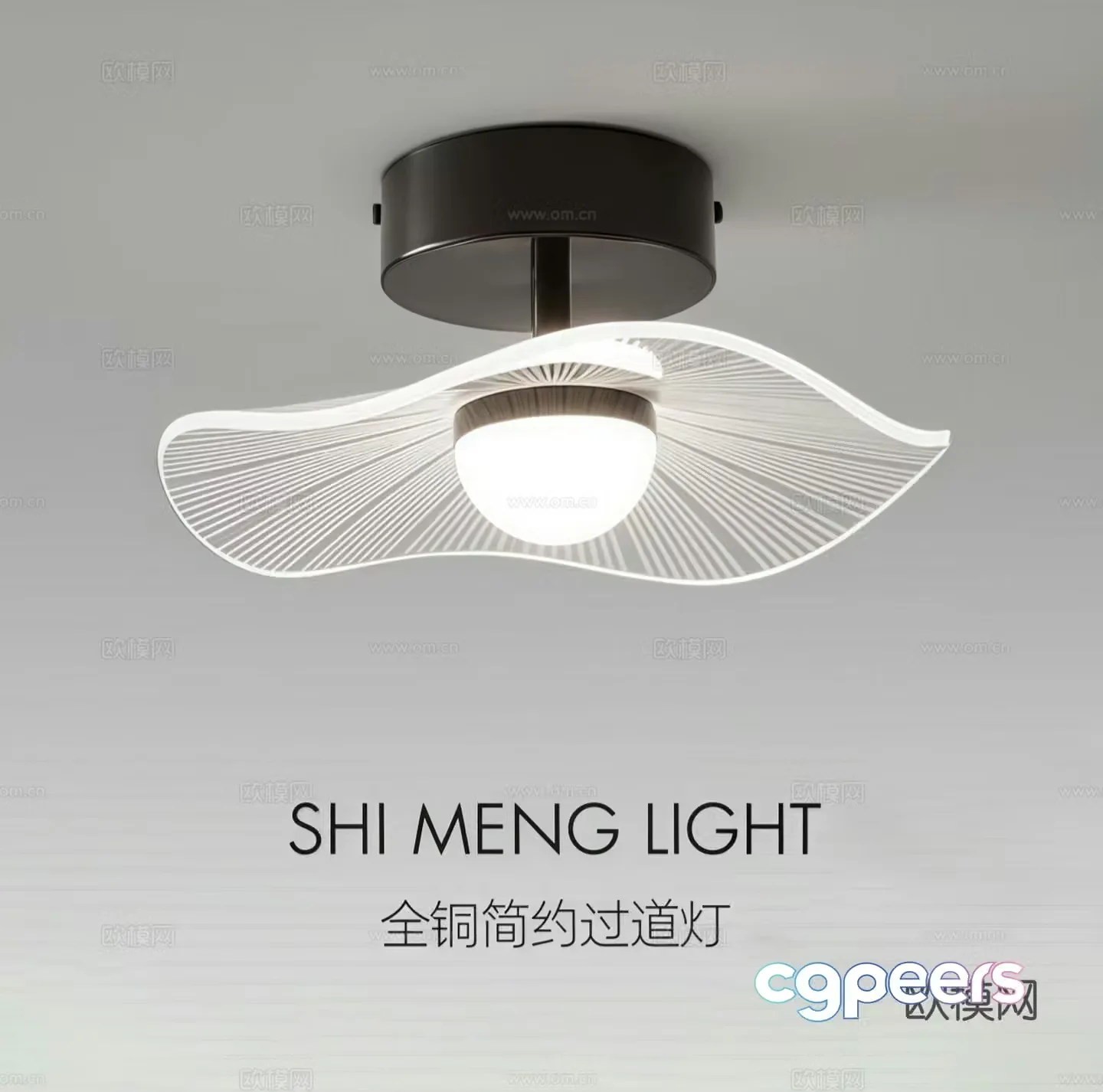 Modern ceiling light Decorative light 3d model