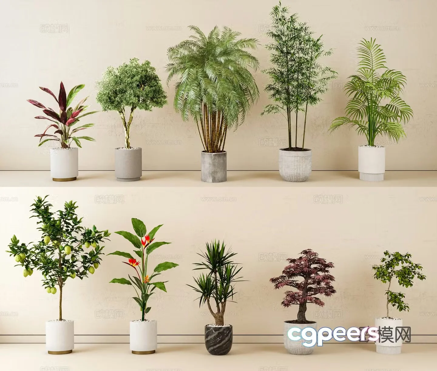 Indoor potted plants green plants home plants potted plants 3d model