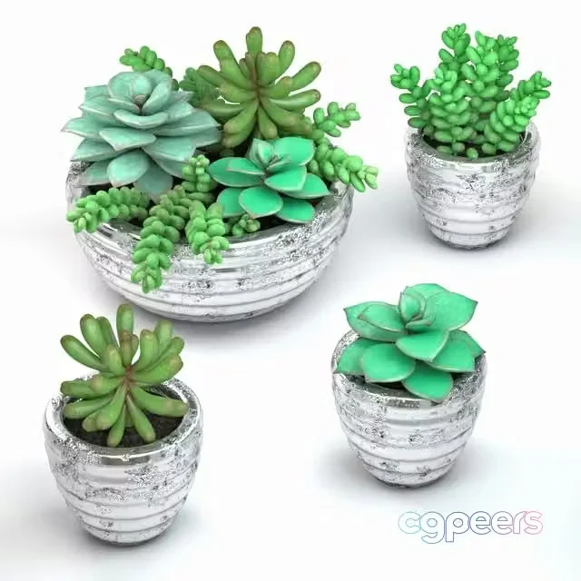 3ds Max Free – Succulents