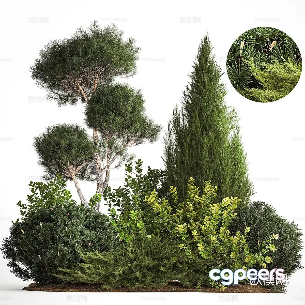 Plant heap Garden landscape 3d model