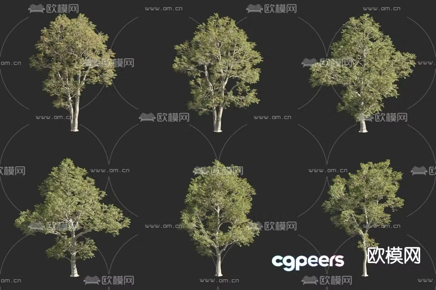 Oak Oak Tree Landscape Tree Small Tree 3D Model
