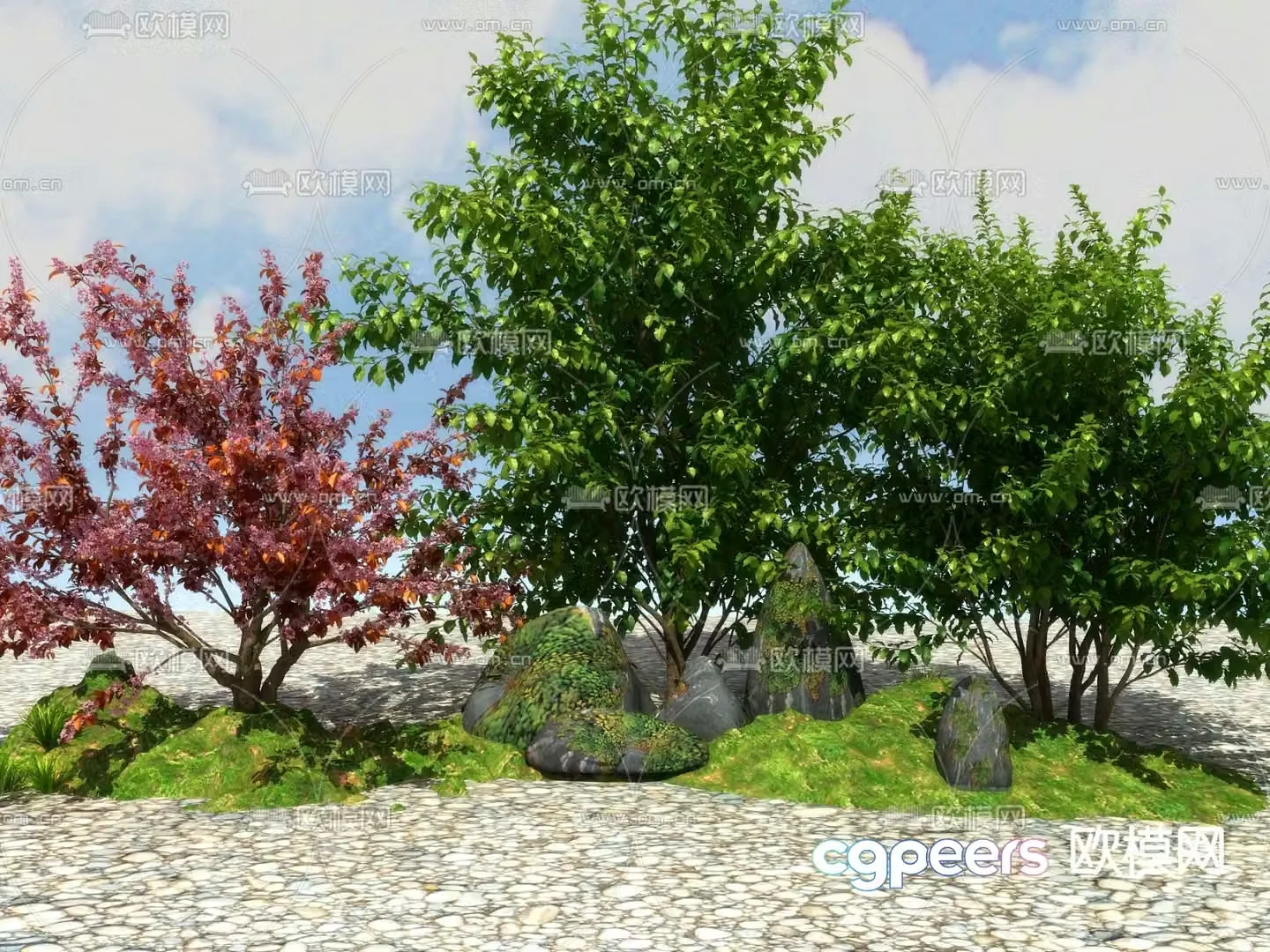 Landscape tree small tree purple leaf plum 3d model