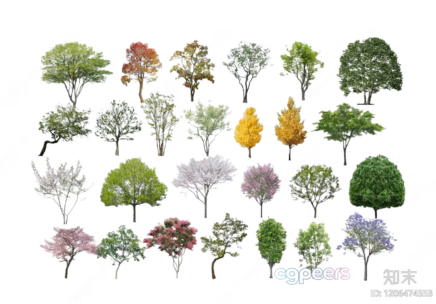 Tree Silhouettes 3D Model – 11379 – VRAY Render