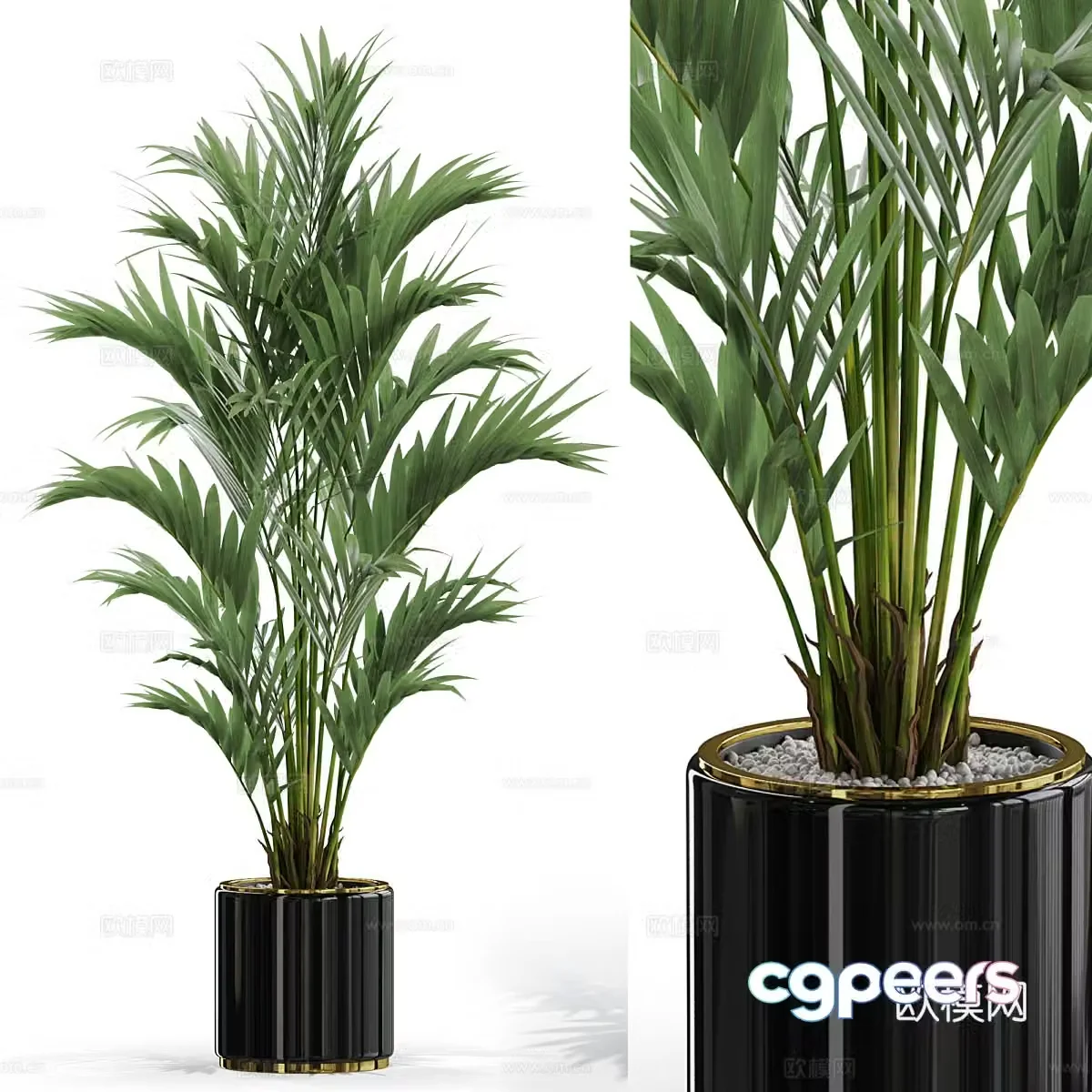 Green plant potted 3D model
