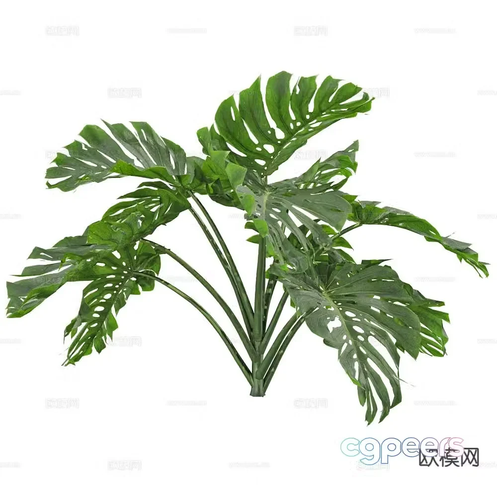 banana tree landscape tree shrub plant 3d model