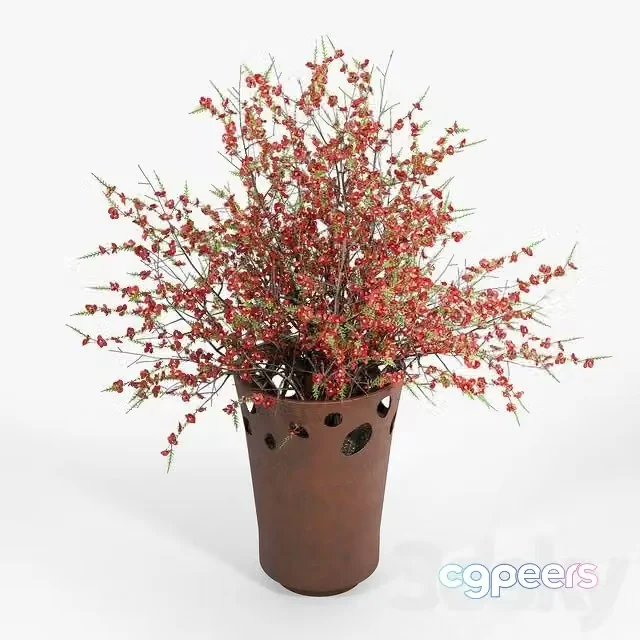 3ds Max Free – Chaenomeeles japoonica
