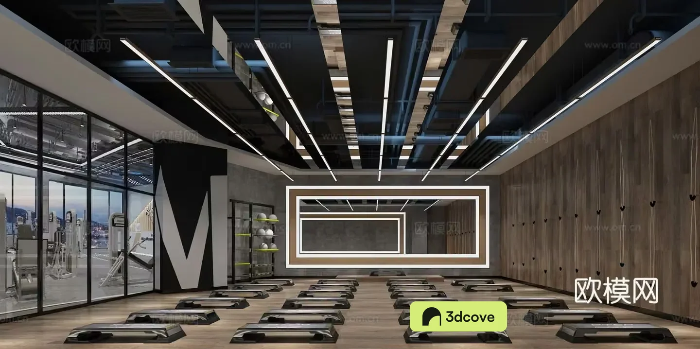 Modern gym
