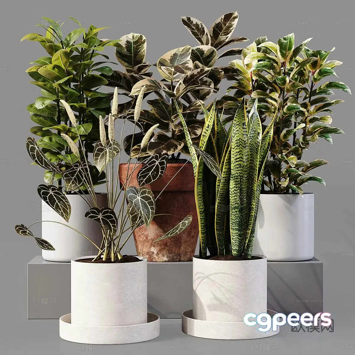 3D model of indoor potted plants