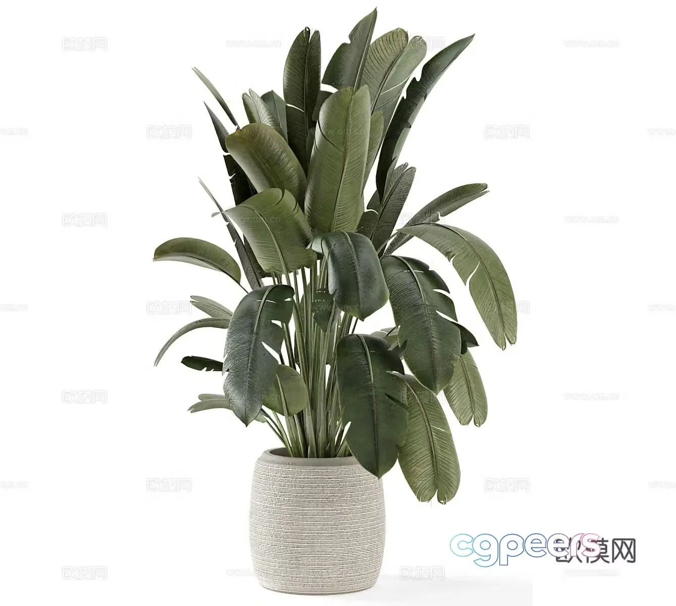 Green plant decorations Balcony green plants Balcony potted plants Green plant potted plants Outdoor green plants Outdoor potted plants 3D model