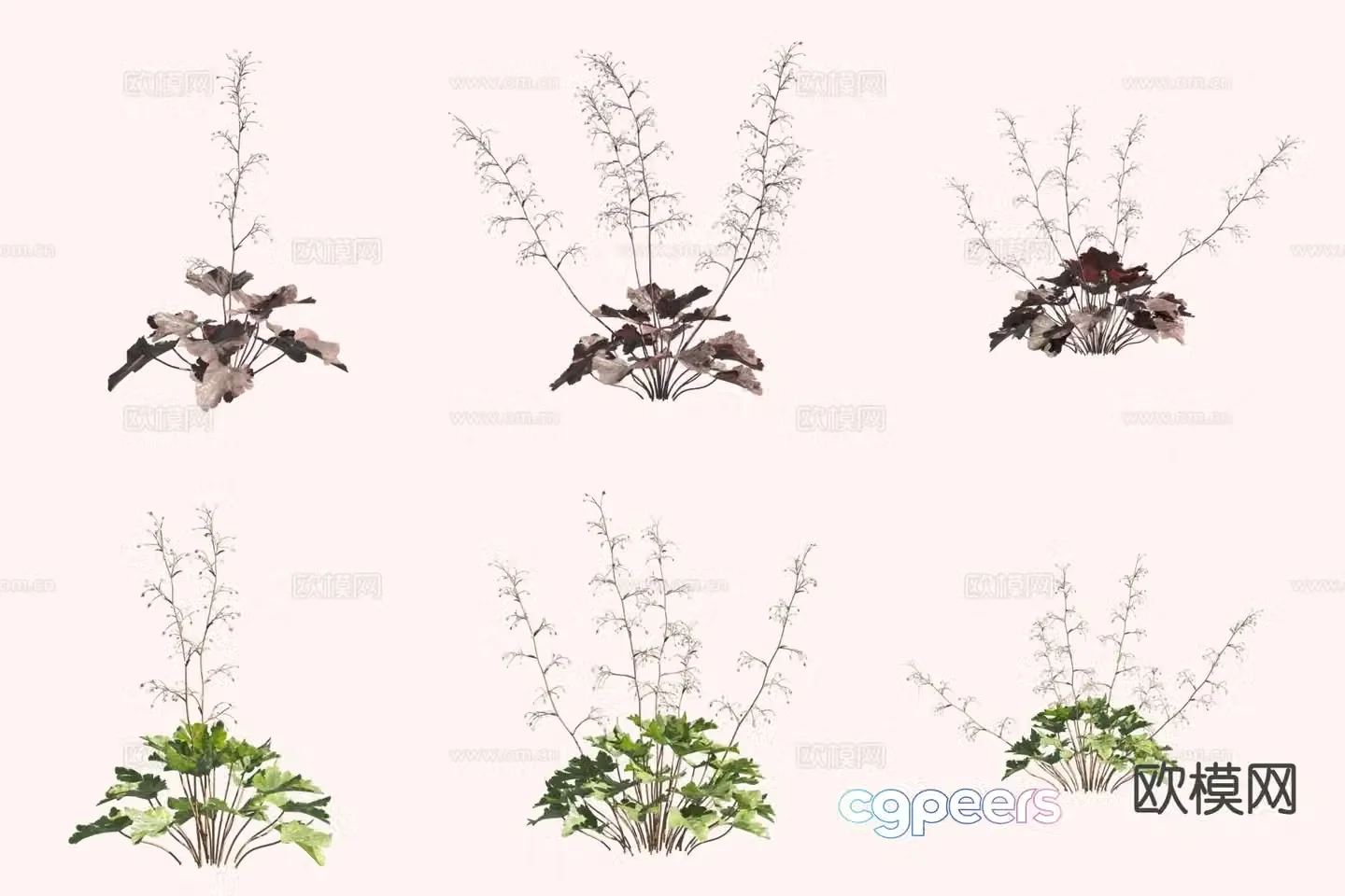 Kidney-shaped grass flower and grass 3D model