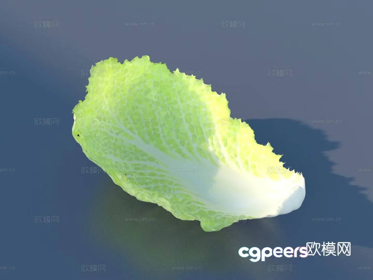 vegetables vegetable leaves cabbage leaves food 3d model
