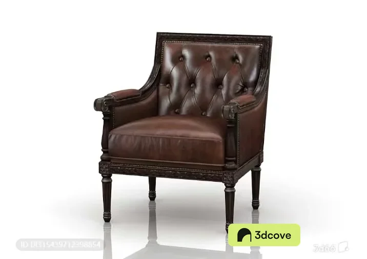 A Brown Leather Chair