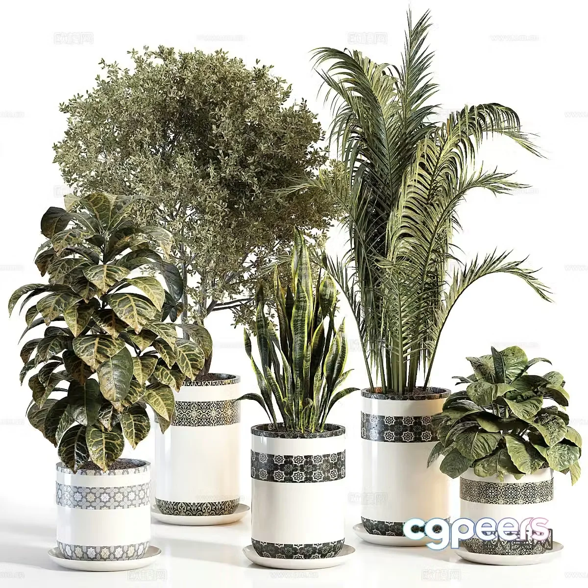 Scattered Tails Flower Pot Green Plant Pot 3D Model