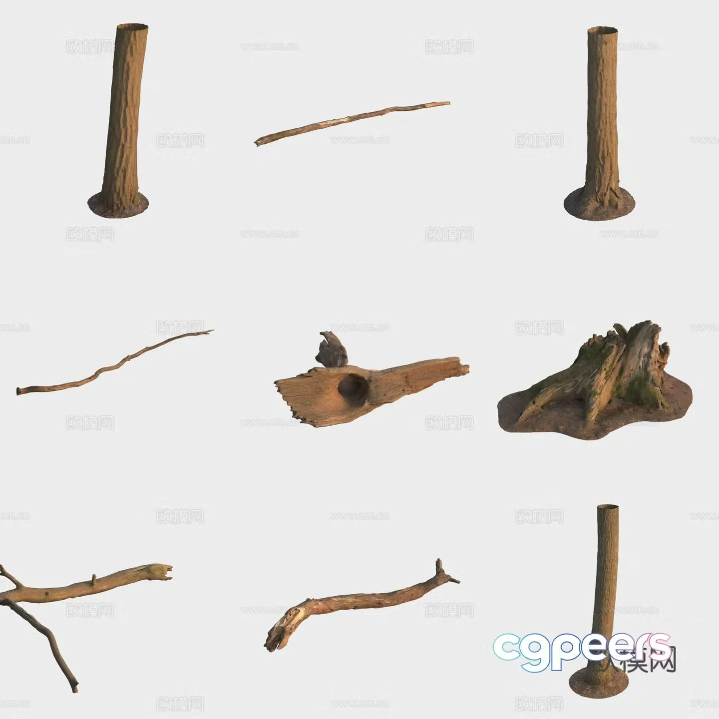 3d model of trunk branches stump