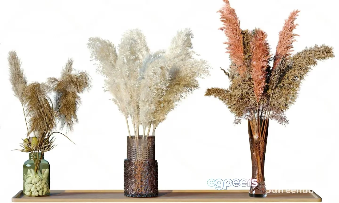 A Collection Of Pampas Grass 3D Model – 22626 – VRAY Render