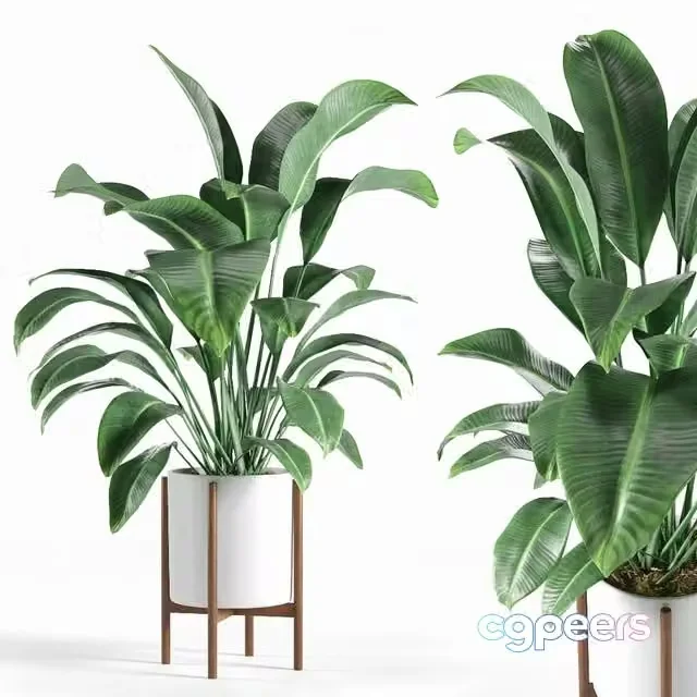 3ds Max Free – Pot plant