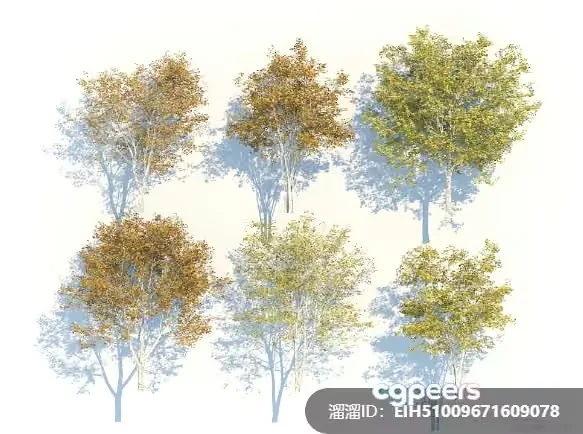 A Collection Of Trees 3D Model – 4200 – VRAY Render