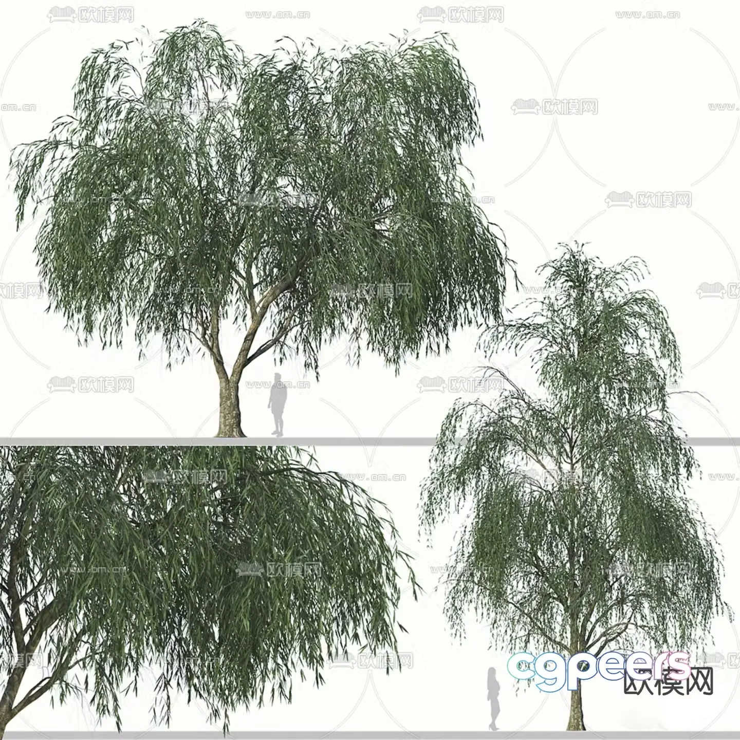 weeping willow willow big tree landscape tree 3d model