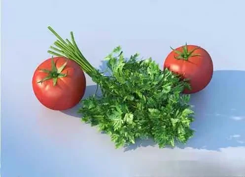 Two Tomatoes And A Bunch Of Parsley 3D Model – 13001 – VRAY Render