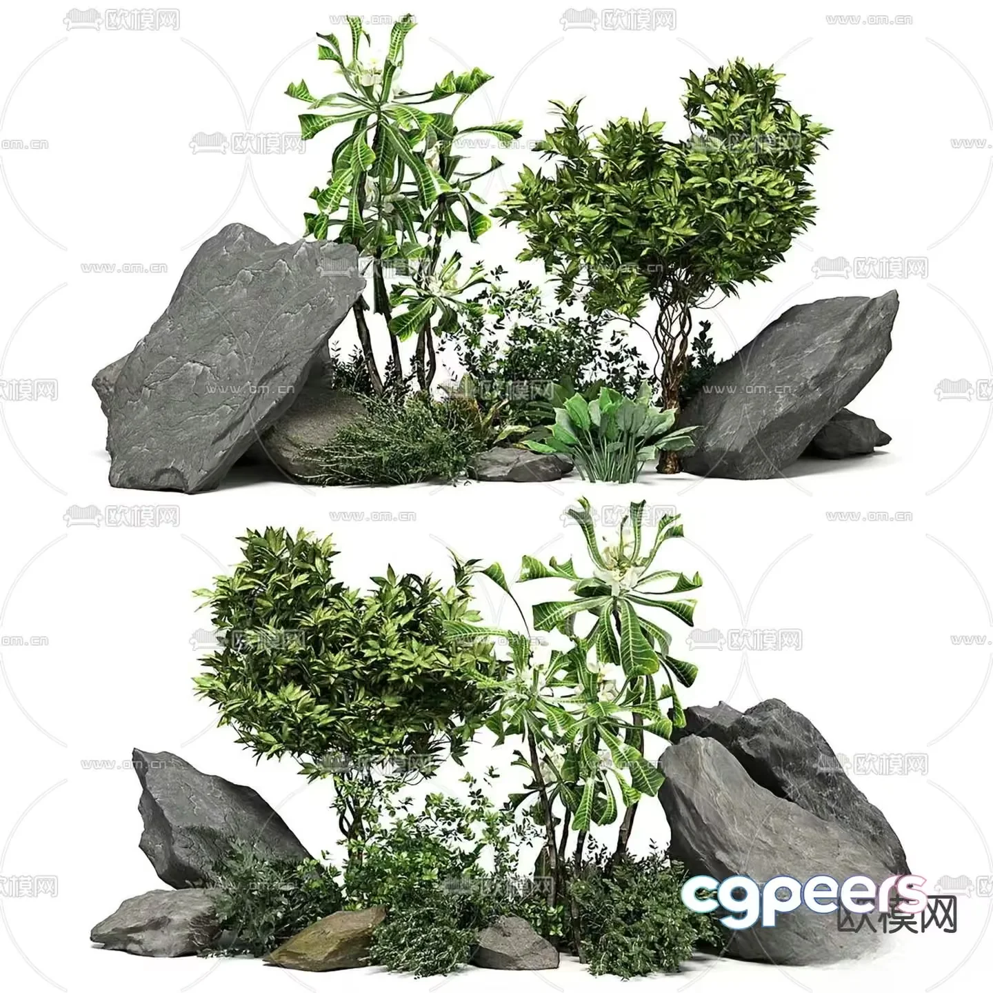 Greenery With Rocks 3D Model – 13315 – VRAY Render