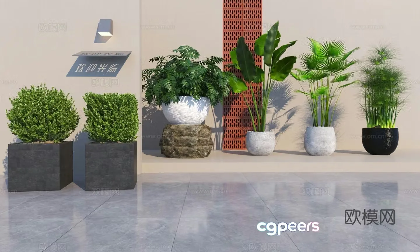 Modern green plant potted 3D model