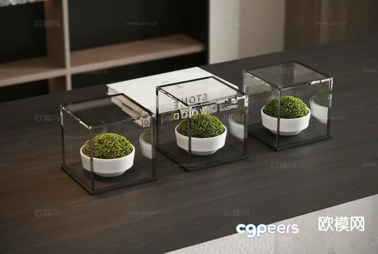 Modern plant moss 3d model