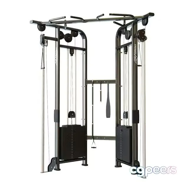 3ds Max Free – Lifefitness Signature Series Dual Adjustable Pulley