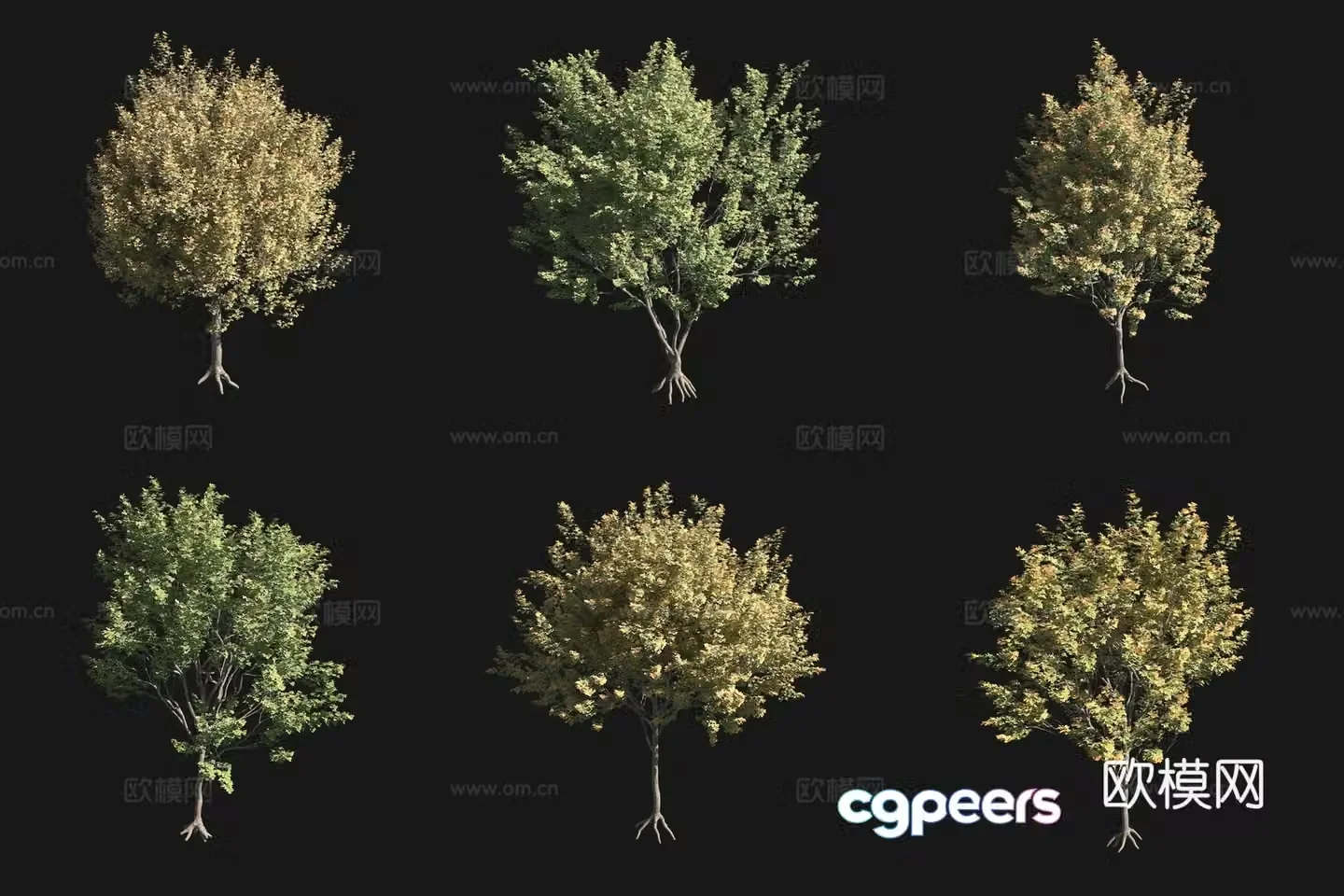 Field maple autumn tree 3d model