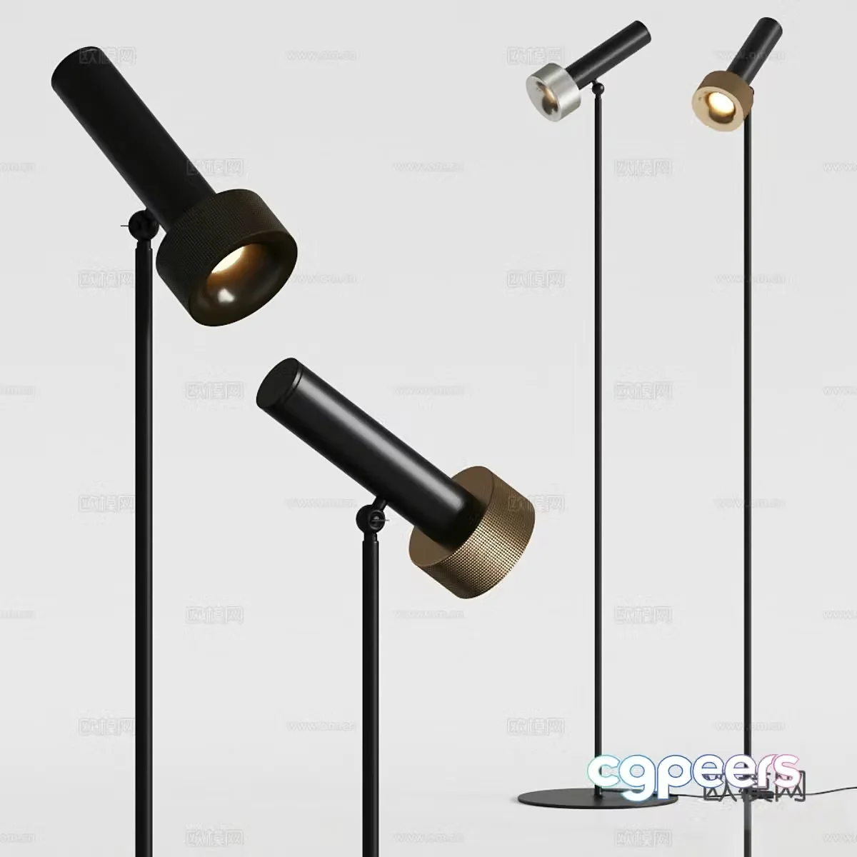 Modern Italian Aromas del Campo Focus Floor Lamp 3D Model