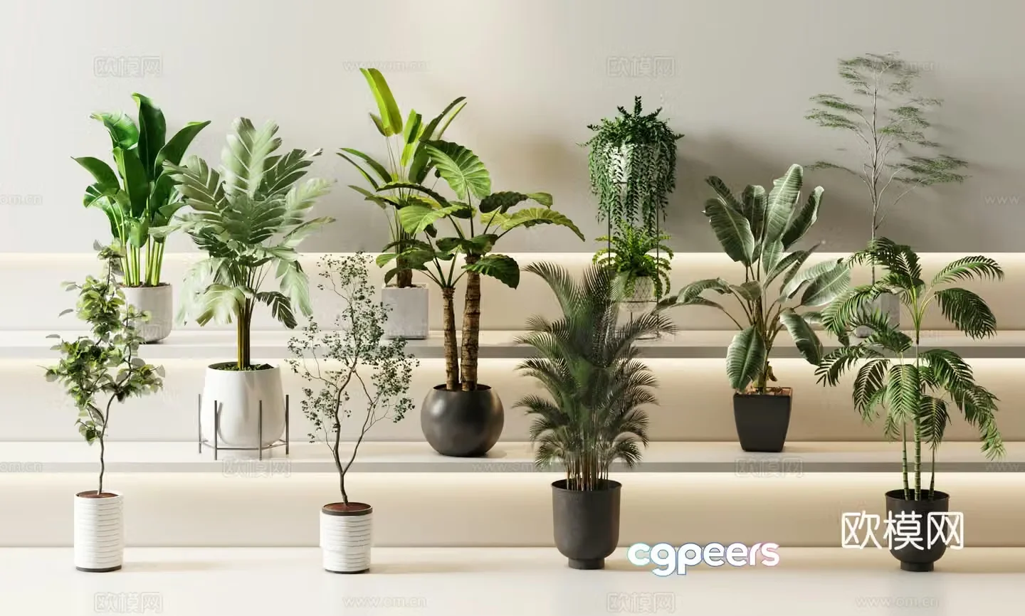 Green plants Potted plants Flower pot 3d model