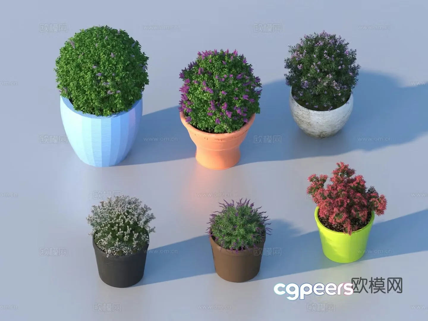flowerpot potted plant green plant plant 3d model