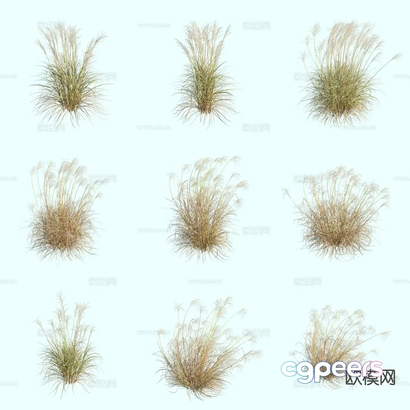 Nepalese miraculous grass ornamental grass thatch 3d model