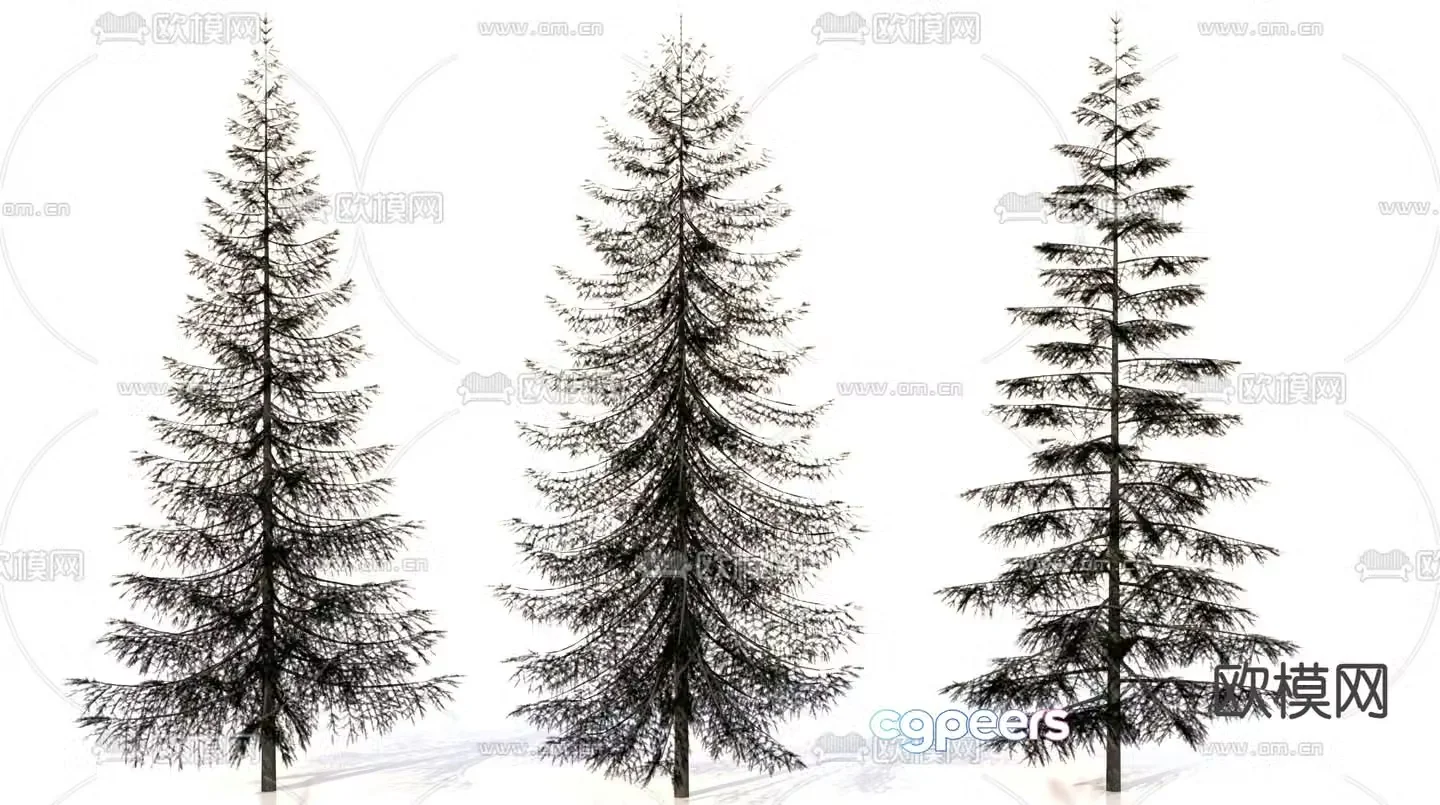Cedar Pine Plant Landscape Tree 3D Model
