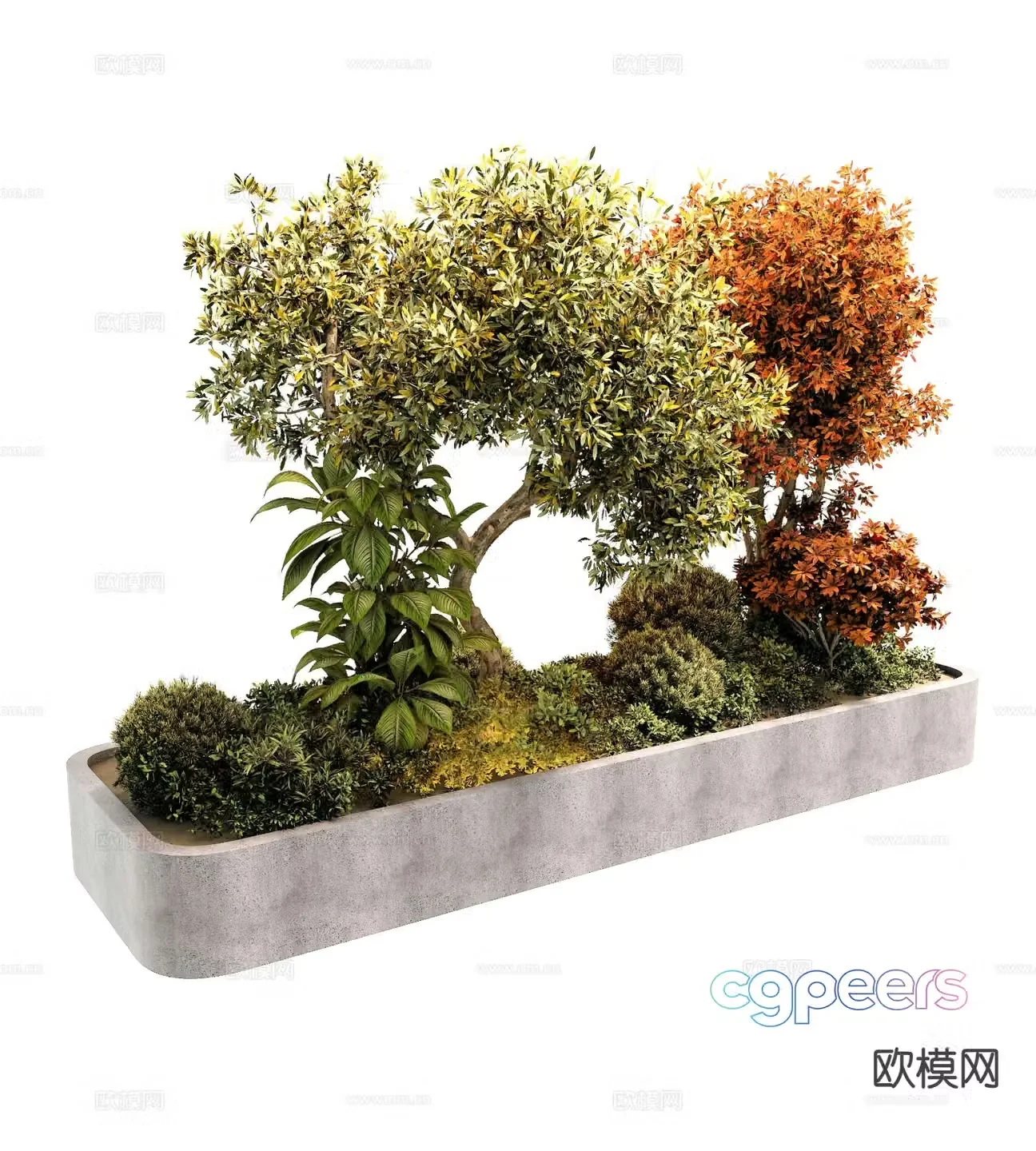 Plant heap flower pond tree pond flower and plants 3d model