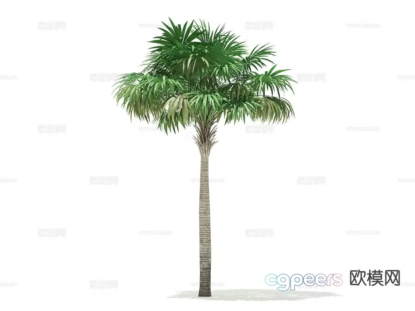 Landscape tree Palm tree Walking tree Tree 3d model