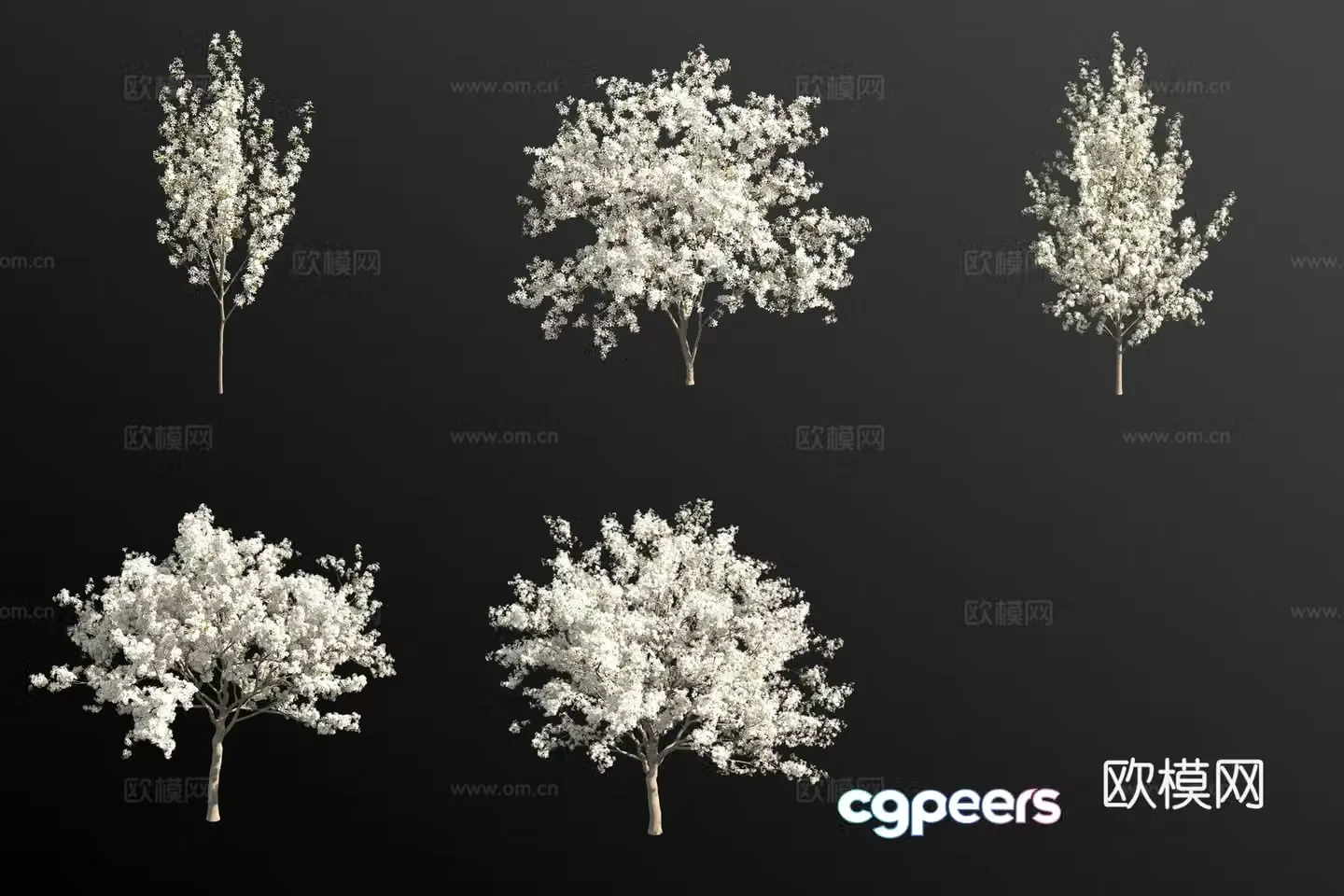 Bean pear shrub plant 3d model