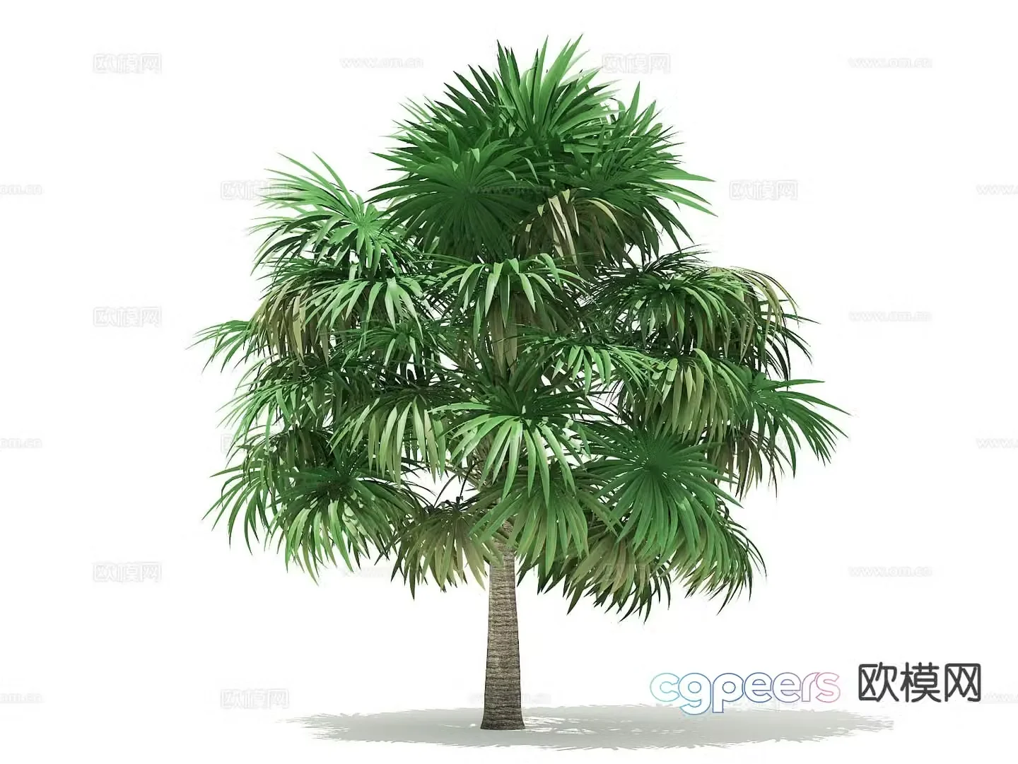 Landscape tree Palm tree Walking tree Tree Tropical tree 3d model