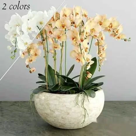 Orchids In A White Pot 3D Model – 2584 – VRAY Render