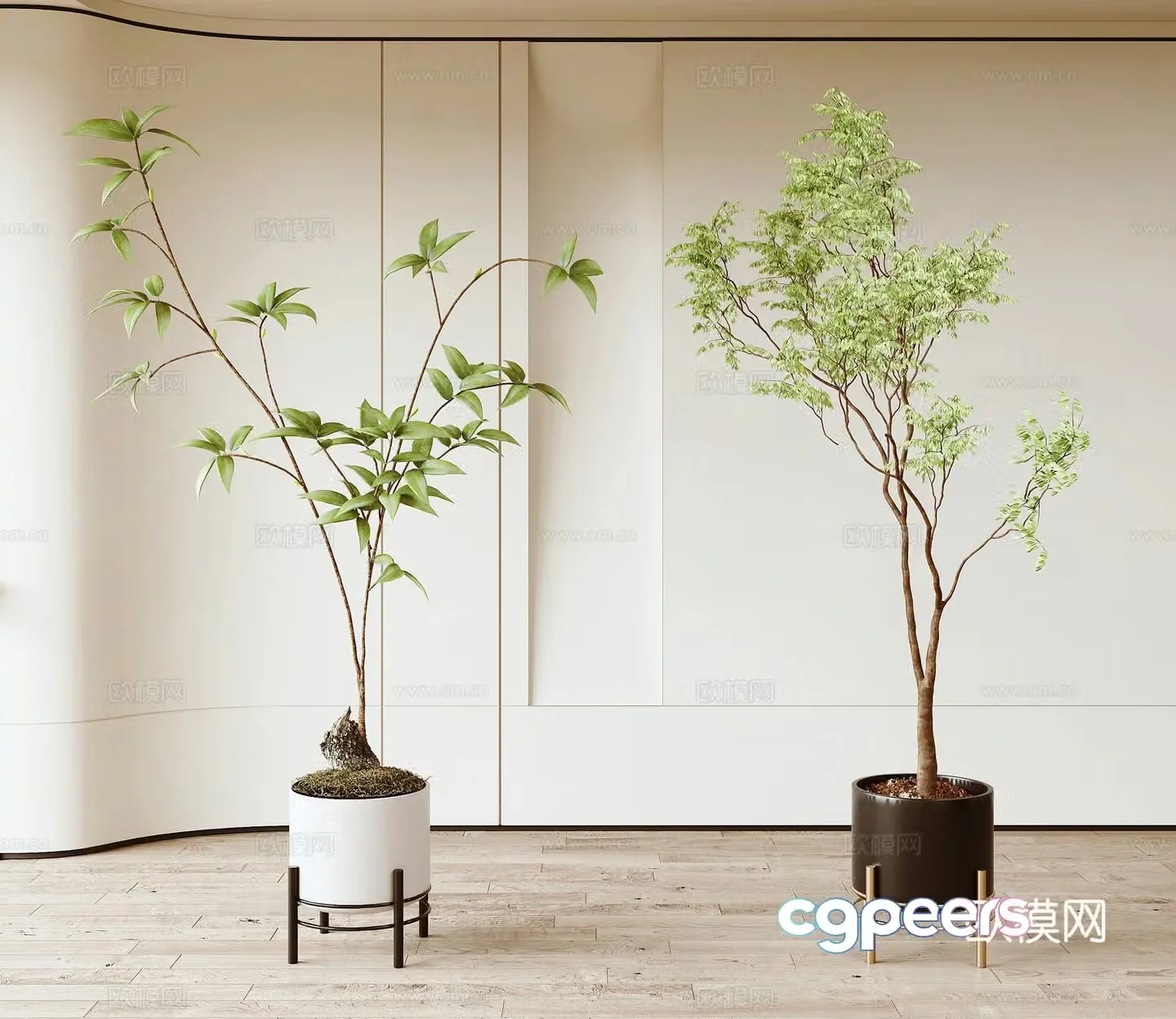 Modern green plants 3d model