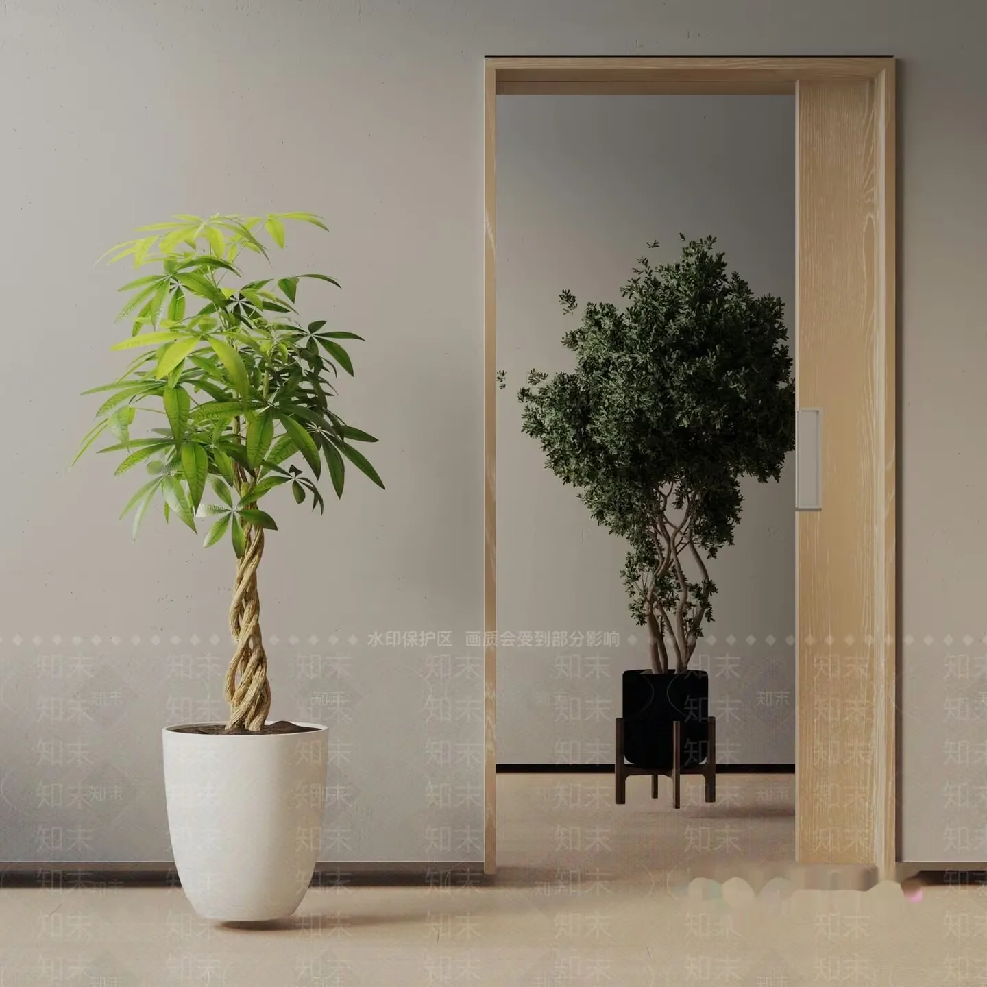 Modern Indoor Plants 3D Model – 15988 – VRAY Render