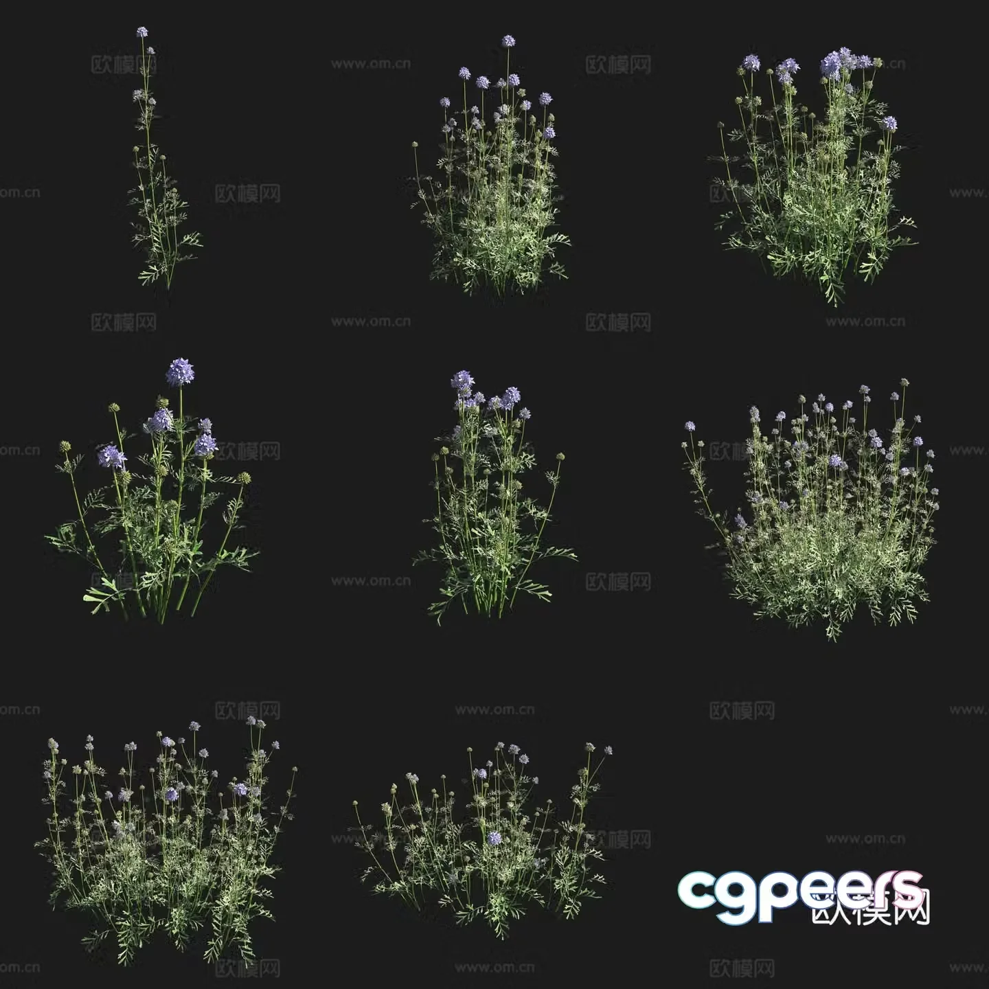 Ball Geely Flowers Grassland Plants 3D Model