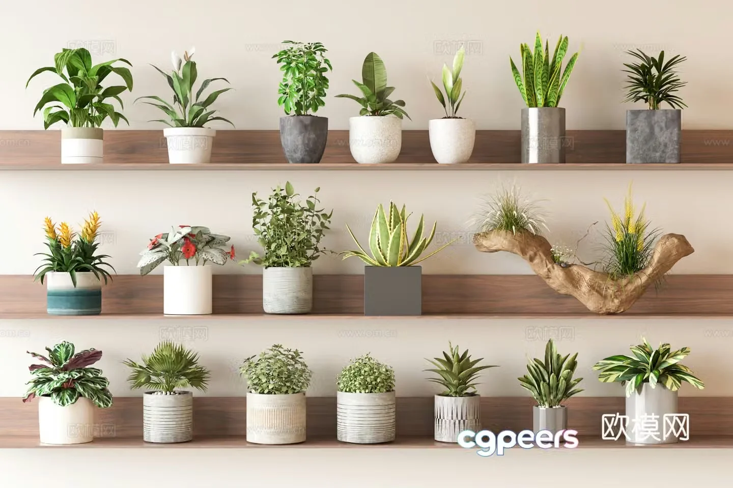 Root carving potted plants small potted plants small green plants 3D model