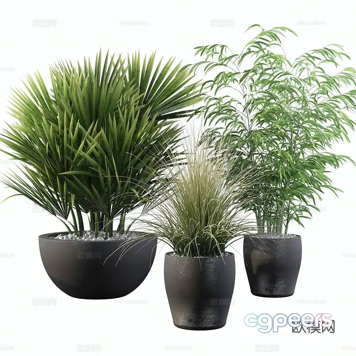 New Chinese green plant potted 3D model