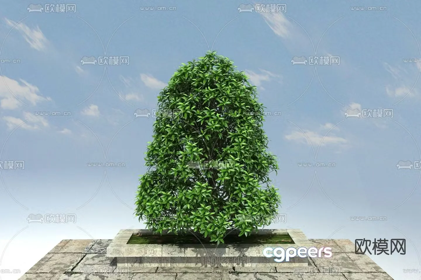 Landscape tree arbor mignonette big tree 3d model