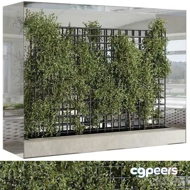 3ds Max Free – Plants Set Partition In Behind Glass – Ivy Garden Wall Decor Set 116
