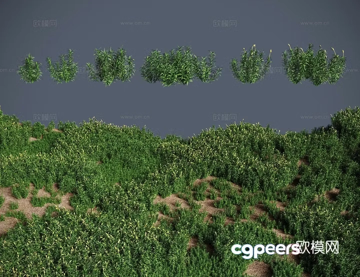 Modern landscape tree bush blonde moss single root grass 3d model