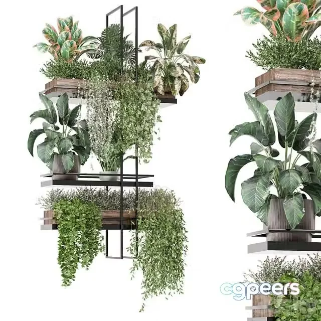3ds Max Free – indoor plants in metal box 1580