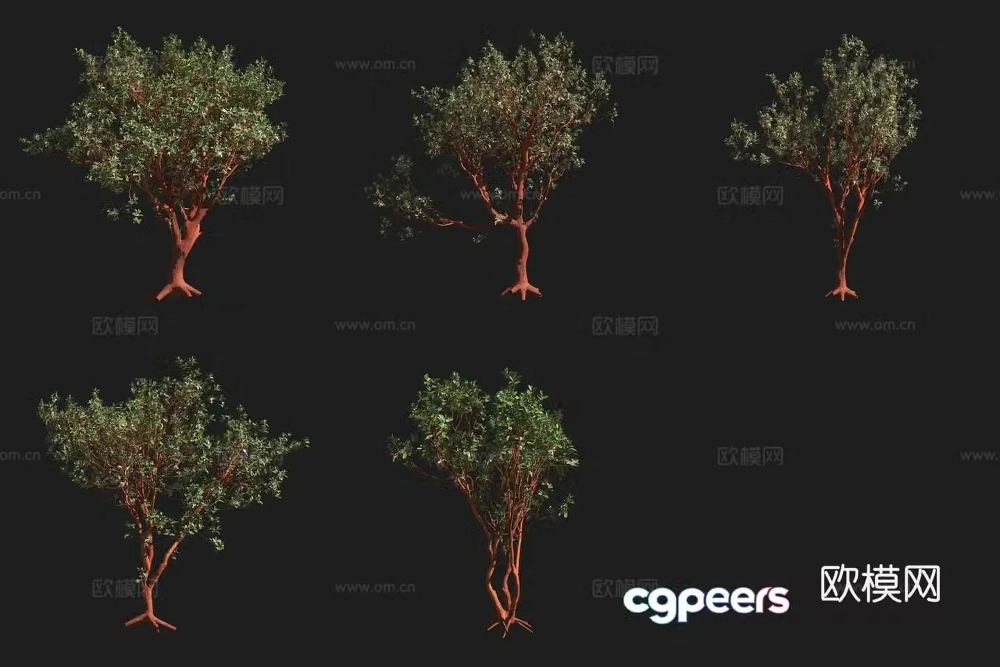 Men’s Strawberry Tree North American Tree 3D Model