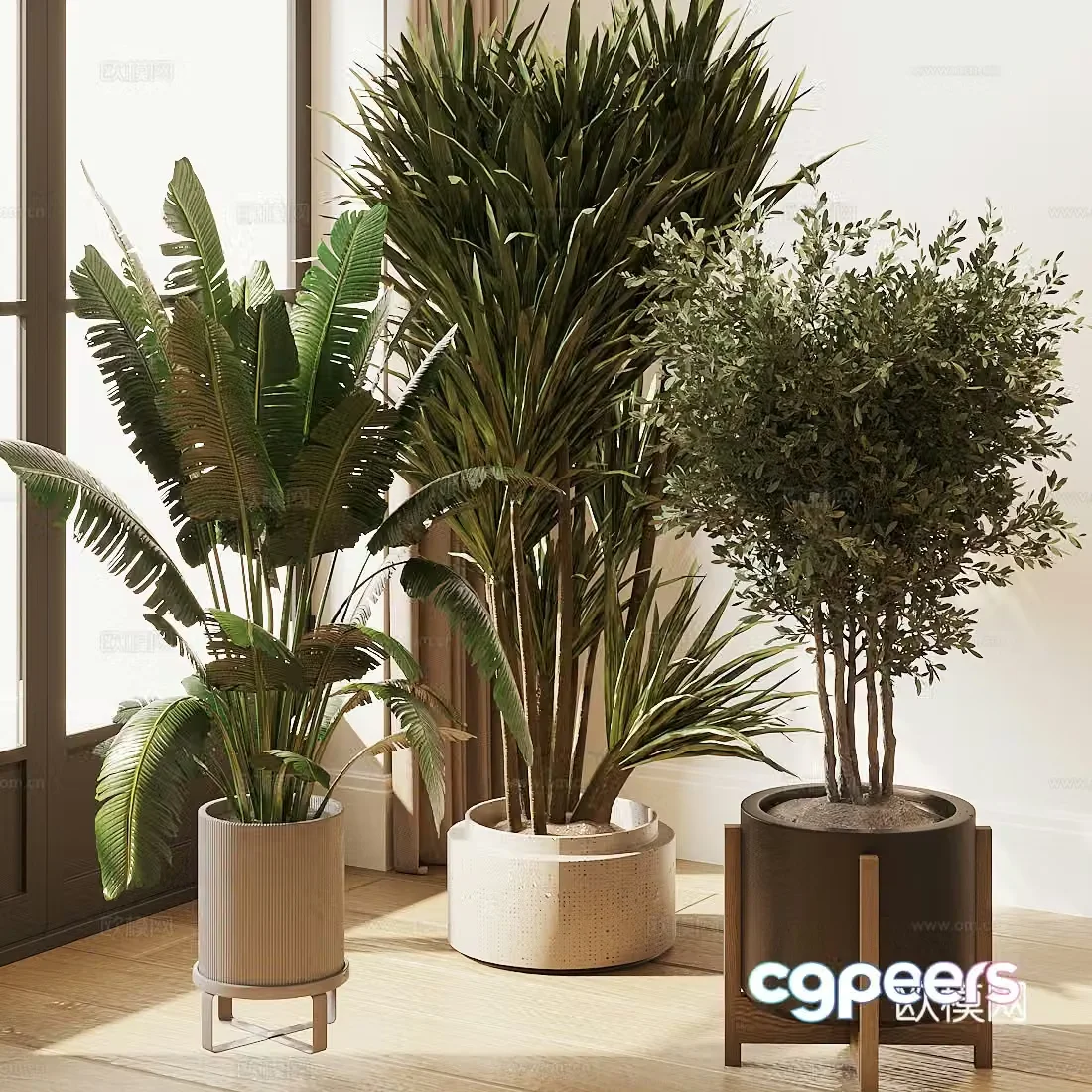 Potted plants green plants olive trees simulated scattered 3D model