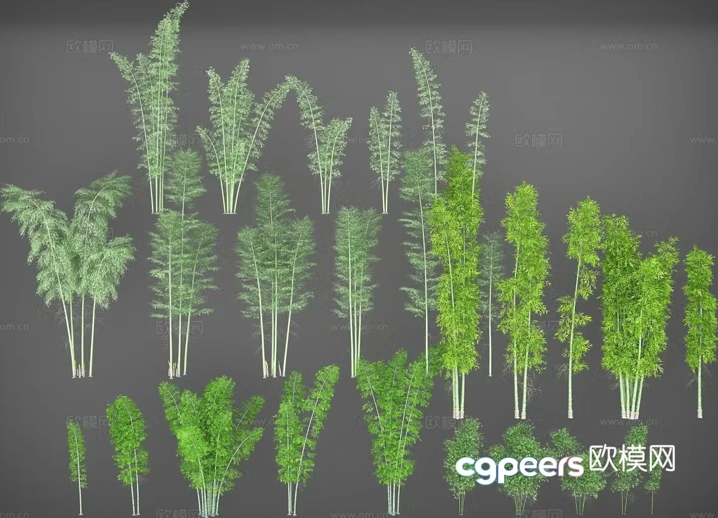 Bamboo early round bamboo strong bamboo green bamboo big bamboo tall bamboo bamboo shoots mottled bamboo 3D model